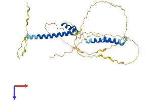 AlphaFold protein structure predicition of Mouse Recombinant Heyl Protein, UniprotID Q9DBX7