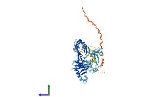 AlphaFold protein structure predicition of Human Recombinant ZPR1 Protein, UniprotID O75312
