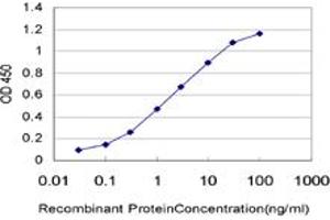 Detection limit for recombinant GST tagged PAPSS2 is approximately 0.
