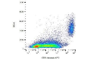 Flow cytometry analysis (surface staining) of CD9 in murine peritoneal fluid cells with anti-CD9 (EM-04) APC. (CD9 anticorps  (APC))