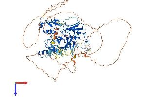 AlphaFold protein structure predicition of Human Recombinant SETDB2 Protein, UniprotID Q96T68