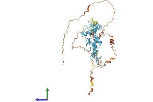 AlphaFold protein structure predicition of Human Recombinant SCRT2 Protein, UniprotID Q9NQ03