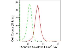 Flow cytometric analysis of Annexin A7 expression in HepG2 cells using Annexin A7 antibody (ABIN7797626), 1:2,000). (Recombinant Annexin VII anticorps)