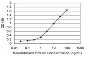 Detection limit for recombinant GST tagged TRIM49 is approximately 0. (TRIM49 anticorps  (AA 251-340))