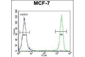 SEL1L Antibody (Center) (ABIN654642 and ABIN2844339) flow cytometric analysis of MCF-7 cells (right histogram) compared to a negative control cell (left histogram). (SEL1L anticorps  (AA 156-182))