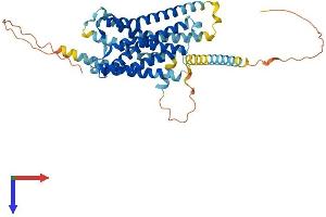 AlphaFold protein structure predicition of Mouse Recombinant Sstr3 Protein, UniprotID P30935