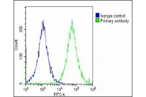 Overlay histogram showing HepG2 cells stained with (ABIN654423 and ABIN2844158)(green line).