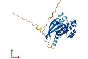 AlphaFold protein structure predicition of Mouse Recombinant Rab3b Protein, UniprotID Q9CZT8