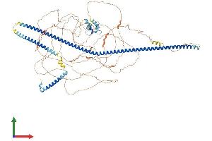 AlphaFold protein structure predicition of Mouse Recombinant Rab11fip3 Protein, UniprotID Q8CHD8