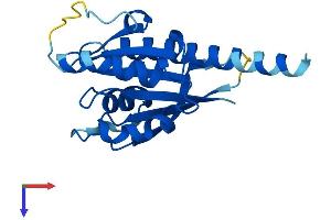 AlphaFold protein structure predicition of Human Recombinant IFT22 Protein, UniprotID Q9H7X7