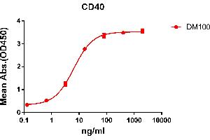 ELISA plate pre-coated by 2 μg/mL (100 μL/well) Human CD40 protein, mFc-His tagged protein ((ABIN6961088, ABIN7042205 and ABIN7042206)) can bind Rabbit anti-CD40 monoclonal antibody(clone: DM100) in a linear range of 0. (CD40 anticorps  (AA 21-193))