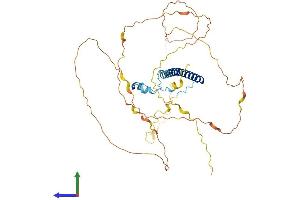 AlphaFold protein structure predicition of Mouse Recombinant Ccdc86 Protein, UniprotID Q9JJ89