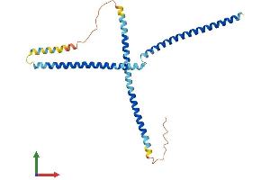 AlphaFold protein structure predicition of Mouse Recombinant Fgfr1op2 Protein, UniprotID Q9CRA9