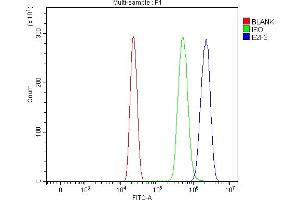 Flow Cytometry analysis of HL-60 cells using anti-E2F3 antibody (ABIN7602654).