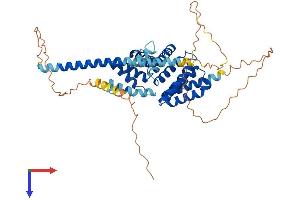 AlphaFold protein structure predicition of Mouse Recombinant Rmdn3 Protein, UniprotID Q3UJU9