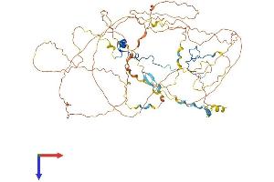 AlphaFold protein structure predicition of Mouse Recombinant Casc3 Protein, UniprotID Q8K3W3