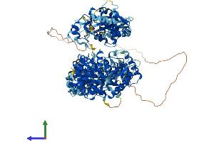 AlphaFold protein structure predicition of Mouse Recombinant Oas3 Protein, UniprotID Q8VI93