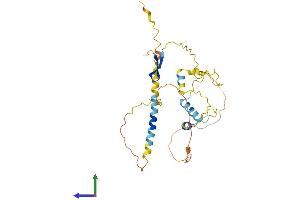 AlphaFold protein structure predicition of Mouse Recombinant Lsp1 Protein, UniprotID P19973