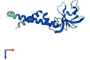 AlphaFold protein structure predicition of Mouse Recombinant Sec11a Protein, UniprotID Q9R0P6