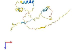 AlphaFold protein structure predicition of Human Recombinant FAM219A Protein, UniprotID Q8IW50