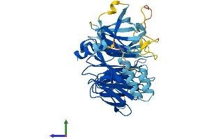 AlphaFold protein structure predicition of Human Recombinant DCAF4L1 Protein, UniprotID Q3SXM0