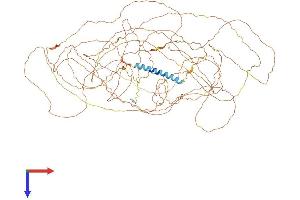 AlphaFold protein structure predicition of Mouse Recombinant Fscb Protein, UniprotID A1EGX6