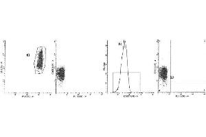 Image no. 1 for anti-Complement Decay-Accelerating Factor (CD55) antibody (PE) (ABIN1106466) (CD55 anticorps  (PE))