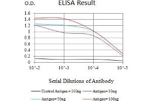 Black line: Control Antigen (100 ng),Purple line: Antigen (10 ng), Blue line: Antigen (50 ng), Red line:Antigen (100 ng) (MSH6 anticorps  (AA 217-395))