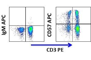 Flow Cytometry (FACS) image for anti-beta-1,3-Glucuronyltransferase 1 (Glucuronosyltransferase P) (B3GAT1) antibody (APC) (ABIN3071849) (CD57 anticorps  (APC))