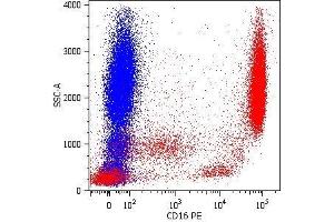 Surface staining of human peripheral blood cells with anti-CD16 (LNK16) PE.