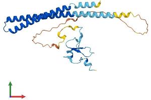 AlphaFold protein structure predicition of Human Recombinant ING4 Protein, UniprotID Q9UNL4