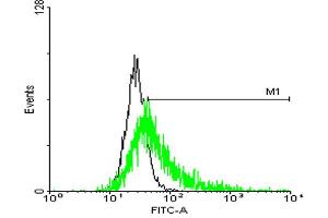 FACS analysis of negative control 293 cells (Black) and GPRC5C expressing 293 cells (Green) using GPRC5C purified MaxPab mouse polyclonal antibody.