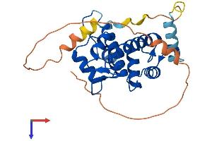 AlphaFold protein structure predicition of Human Recombinant CAPNS1 Protein, UniprotID P04632