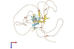 AlphaFold protein structure predicition of Mouse Recombinant Ikzf4 Protein, UniprotID Q8C208