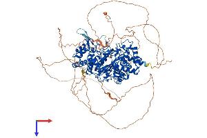 AlphaFold protein structure predicition of Mouse Recombinant Parg Protein, UniprotID O88622
