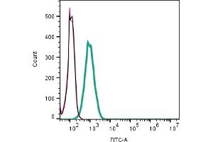 Cell surface detection of B1 Bradykinin Receptor by indirect flow cytometry in live intact mouse  microglia cell line: + goat-anti-rabbit-FITC. (BDKRB1 anticorps  (Extracellular))