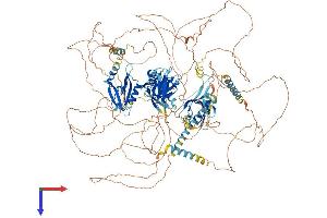 AlphaFold protein structure predicition of Mouse Recombinant Pard3 Protein, UniprotID Q99NH2