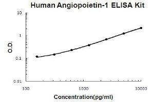 Human Angiopoietin-1 Accusignal ELISA Kit Human Angiopoietin-1 AccuSignal ELISA Kit standard curve. (Angiopoietin 1 Kit ELISA)