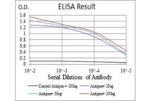 Fig. (MGMT anticorps  (AA 32-210))