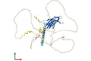 AlphaFold protein structure predicition of Human Recombinant RAB11FIP2 Protein, UniprotID Q7L804