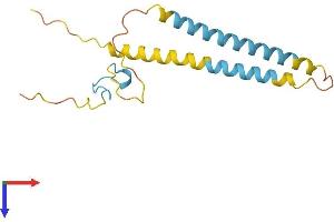 AlphaFold protein structure predicition of Human Recombinant SREK1IP1 Protein, UniprotID Q8N9Q2