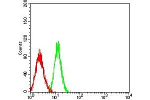 Flow cytometric analysis of HL-60 cells using CD11D mouse mAb (green) and negative control (red).