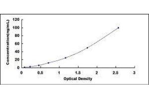 Cytochrome C, Somatic (CYCS) ELISA Kit