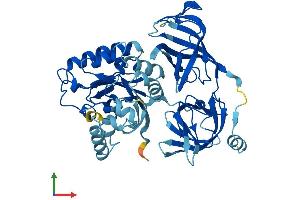AlphaFold protein structure predicition of Human Recombinant EEF1A1 Protein, UniprotID P68104