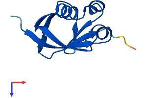 AlphaFold protein structure predicition of Mouse Recombinant Mocs2 Protein, UniprotID Q9Z224