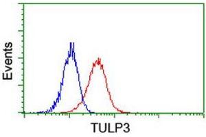 Image no. 7 for anti-Tubby Like Protein 3 (TULP3) antibody (ABIN1501583)