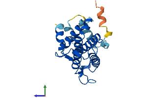 AlphaFold protein structure predicition of Human Recombinant MOB3A Protein, UniprotID Q96BX8