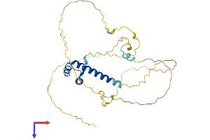 AlphaFold protein structure predicition of Mouse Recombinant Msx1 Protein, UniprotID P13297