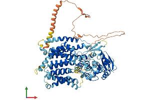 AlphaFold protein structure predicition of Mouse Recombinant Dpy19l2 Protein, UniprotID P0CW70