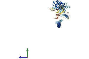 AlphaFold protein structure predicition of Mouse Recombinant Rufy3 Protein, UniprotID Q9D394